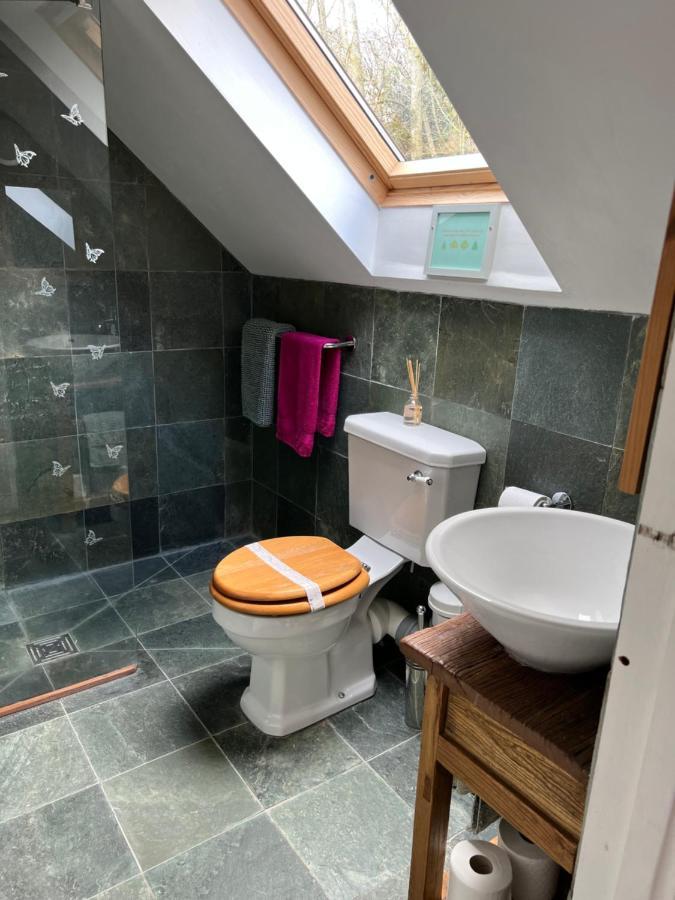 Studio Apartment ويلْزْ المظهر الخارجي الصورة